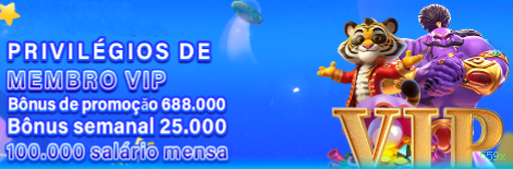 559x Plataforma